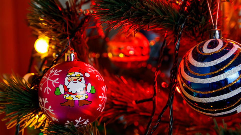 POLL When is it acceptable to put up your Christmas Tree? Gript