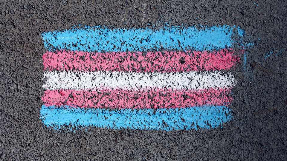 Just recently RTE ventured into the gender ideology debate, specially self id. This was enough for D...