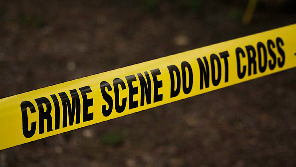 Immigration and Crime: Exploring the Complexities in Multicultural Societies