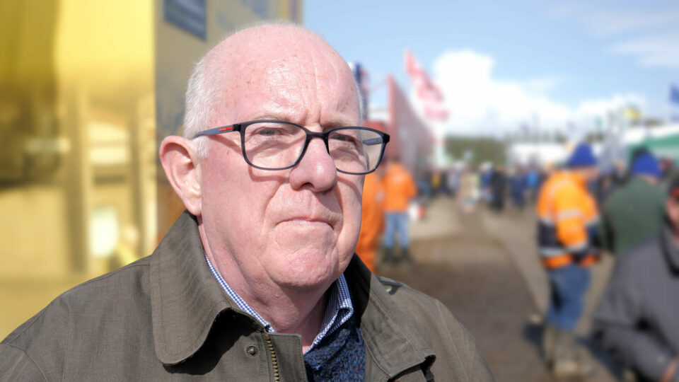 Former Minister for Justice calls for investigation into Irish kids ...