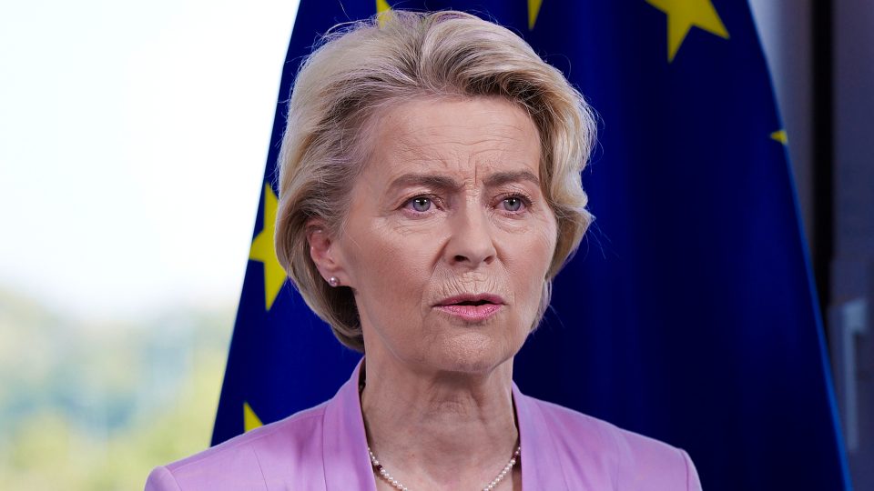 EU wants to be World's First ‘AI Continent' – von der Leyen