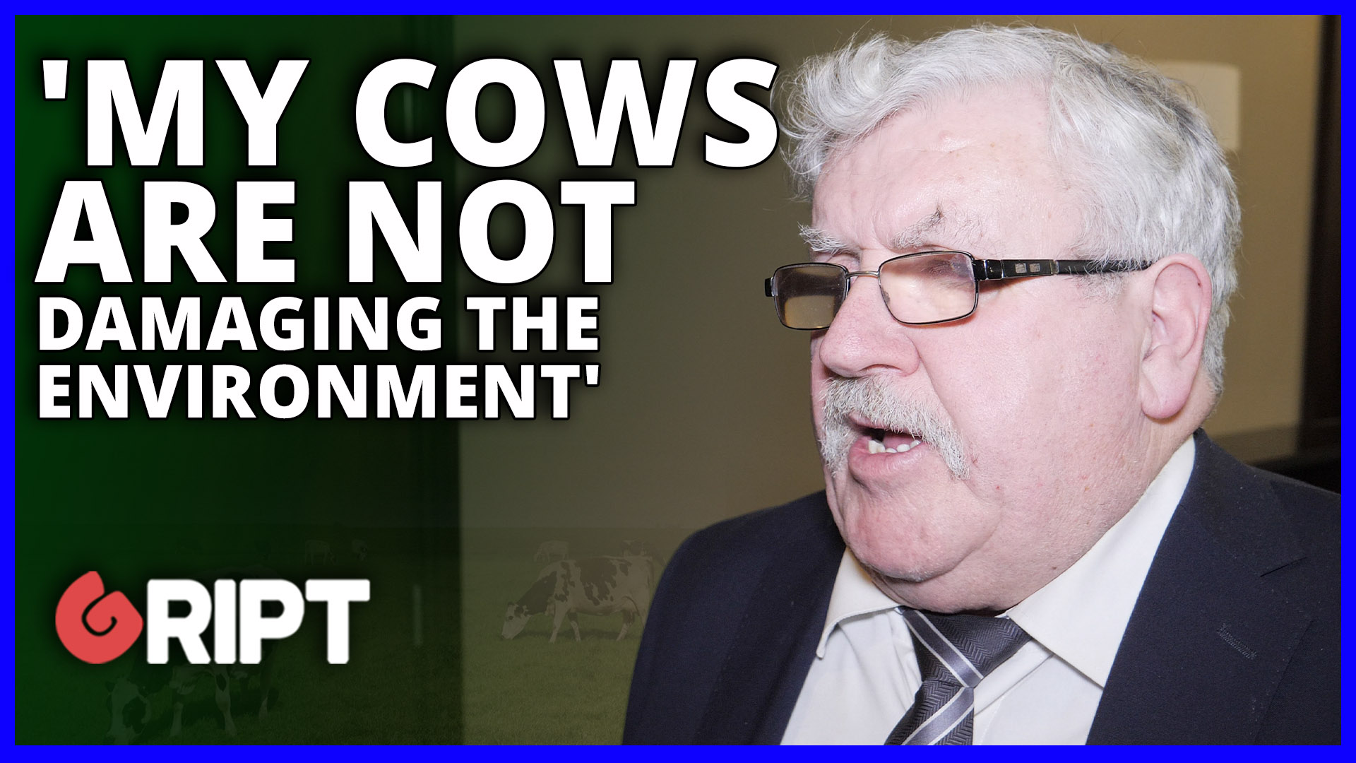 Culling cows will achieve nothing says MEP - Gript