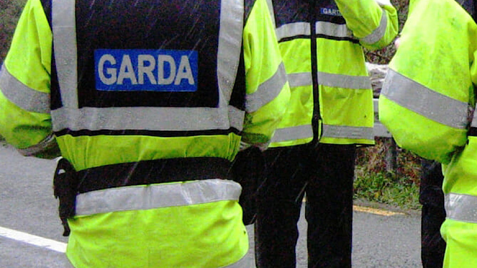 Tragedy in Donegal as man dies after tree falls on car - Gript
