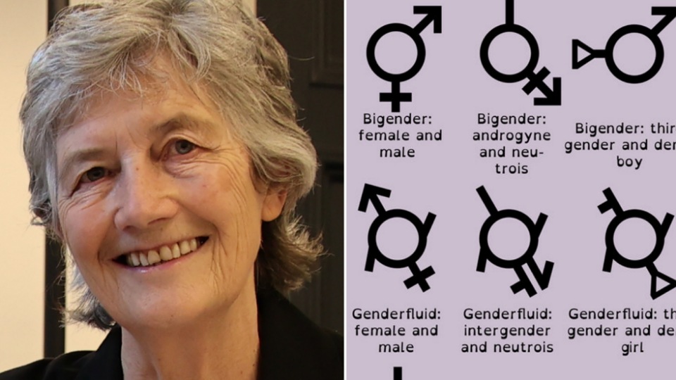 Connolly: Up to individual to decide how many genders - Gript