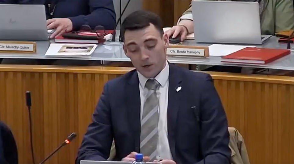 Over 40 Percent of Social Housing in Fingal Allocated to Foreign-Born Individuals