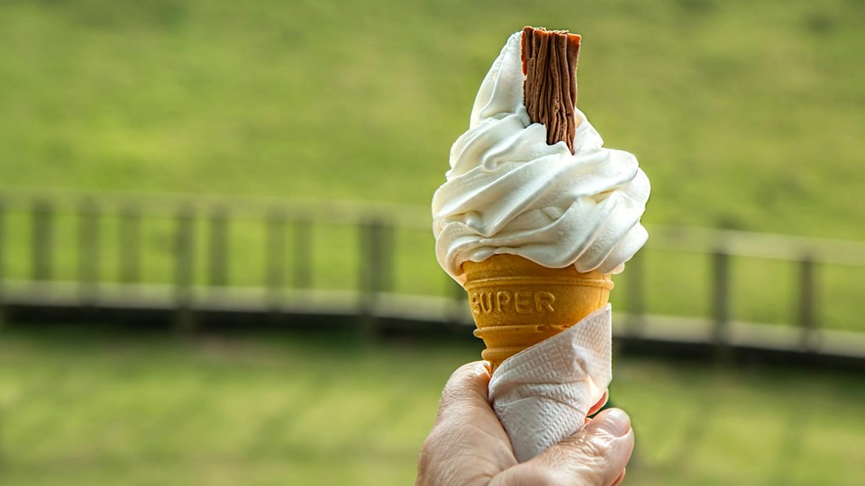 EU Looks to control Ice Cream Makers as Critical Infrastructure