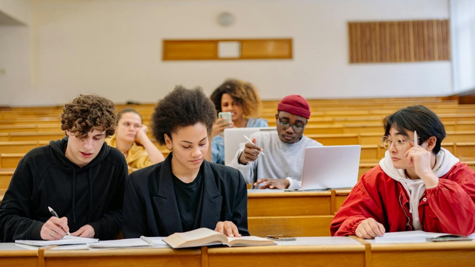 The Unseen Hand: How Student Visas Drive Global Migration and Labor Dynamics