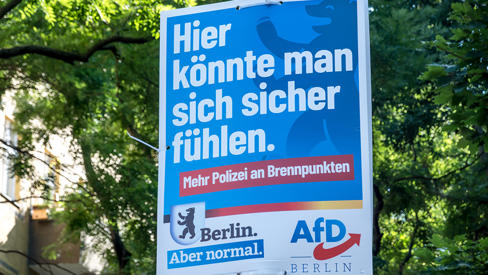 LUCEY: The AfD surge in Germany and an alienated electorate
