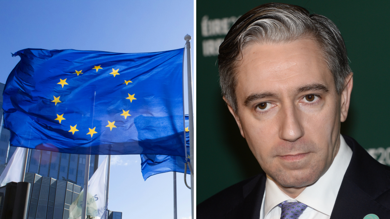 Simon Harris: EU VAT Rules Block 9% Rate on Home Heating Oil